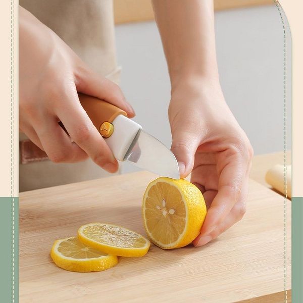 2 in 1 Potato Peeler with Knife Stainless Steel Portable Knife Peeler - Oshi.pk - Buy & Sell Online