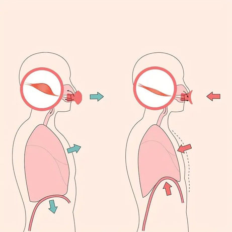 Face Exerciser, Jaw Face Neck Toning Exerciser For Women, Portable V Face Trainer Skin Lifting Masseter Training Tool Gift - Oshi.pk - Buy & Sell Online