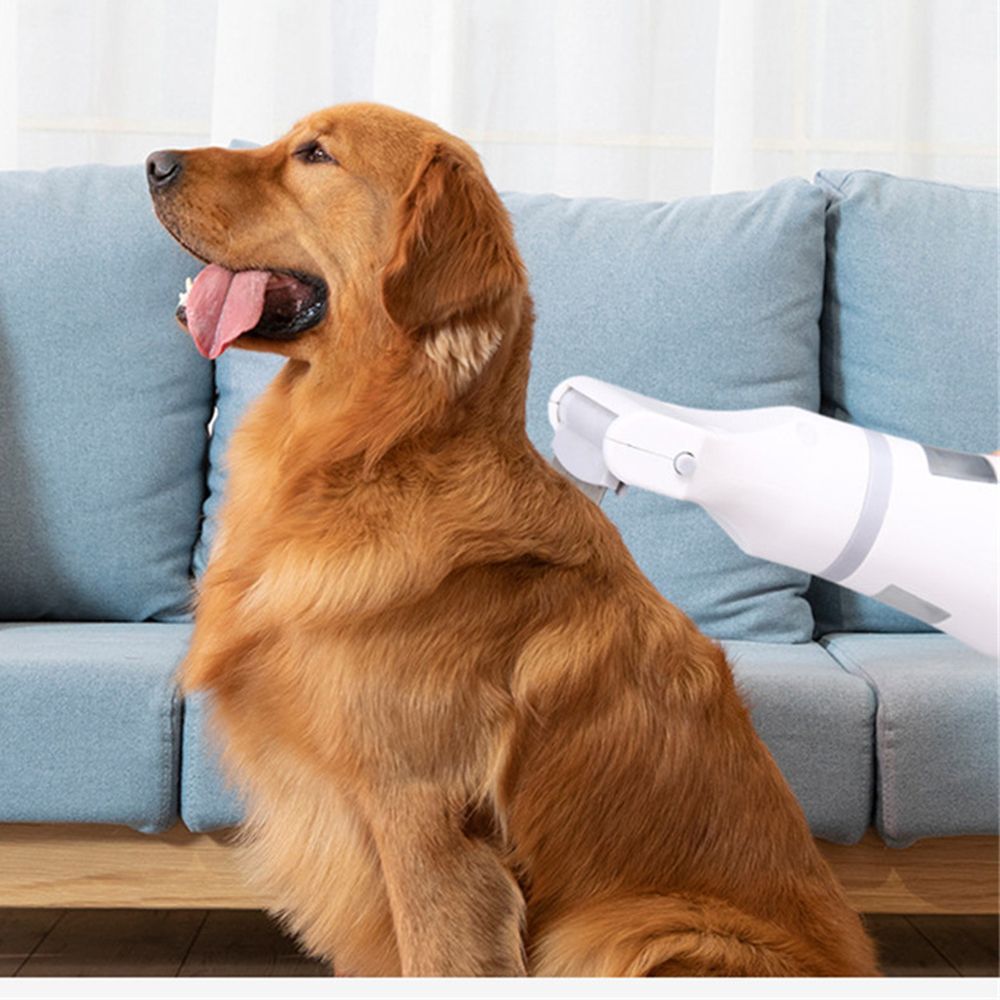 Flea comb Eliminate lice and fleas Lice catcher Insect repellent Pet supplies Hair cleaner Lice comb Electric - Oshi.pk - Buy & Sell Online