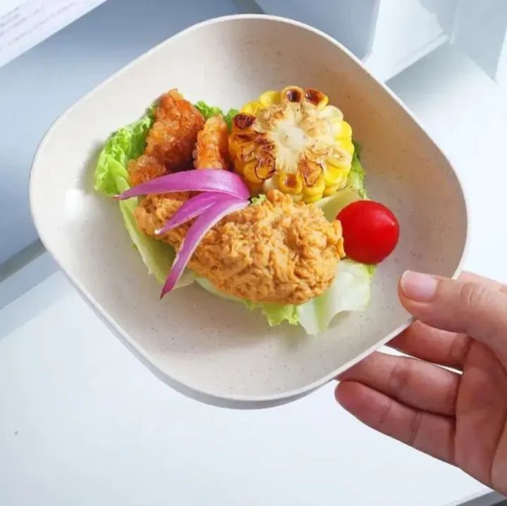 Kitchen Accessories Square Plastic Dinner Plate Set (Set of 10 Pcs) Colorful Snacks/Breakfast Plate with Stand Kitchen Tools - 10Pcs - MultiColor - Oshi.pk - Buy & Sell Online