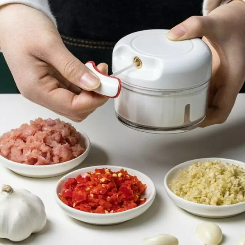 Mini Food Chopper - Oshi.pk - Buy & Sell Online