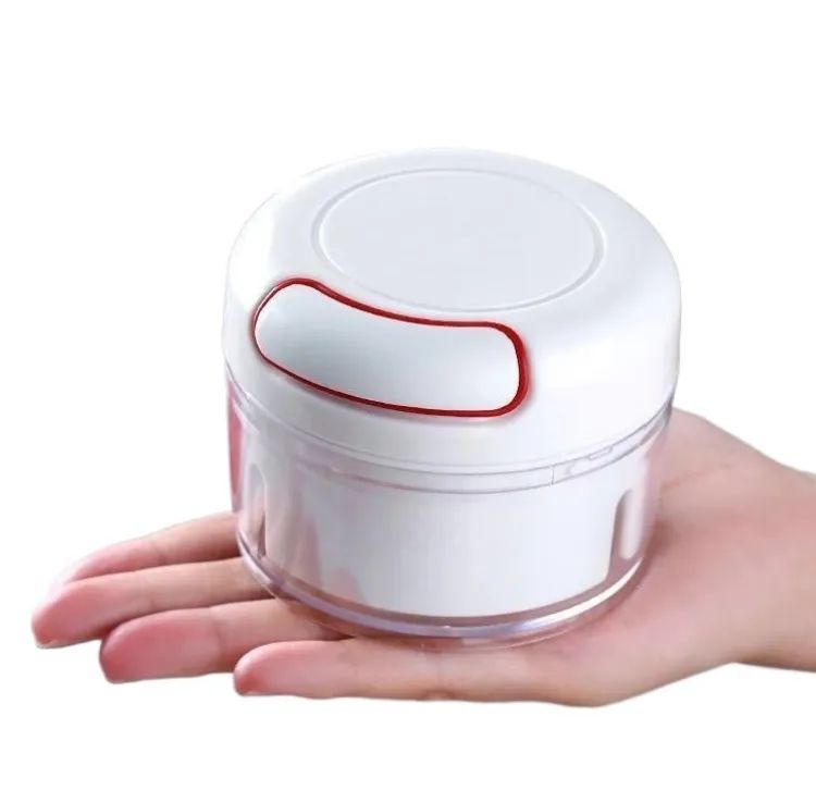 Mini Garlic Chopper, Multifunctional Hand Held Vegetable Chopper, Hand Pull String Food Chopper, Manual Food Processor - Oshi.pk - Buy & Sell Online