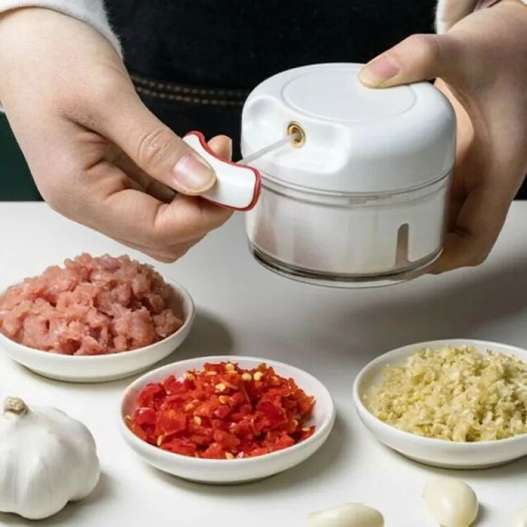 Mini Garlic Chopper, Multifunctional Hand Held Vegetable Chopper, Hand Pull String Food Chopper, Manual Food Processor - Oshi.pk - Buy & Sell Online