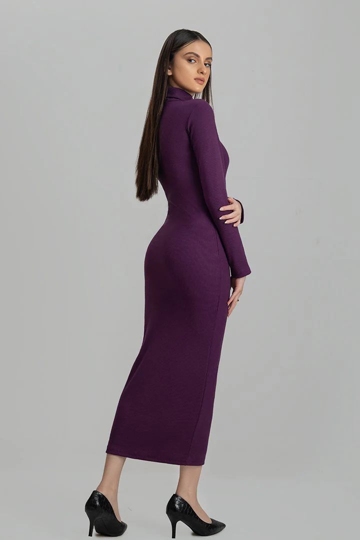 Wintsfield Highneck Bodycon Dress (Purple) - Oshi.pk - Buy & Sell Online