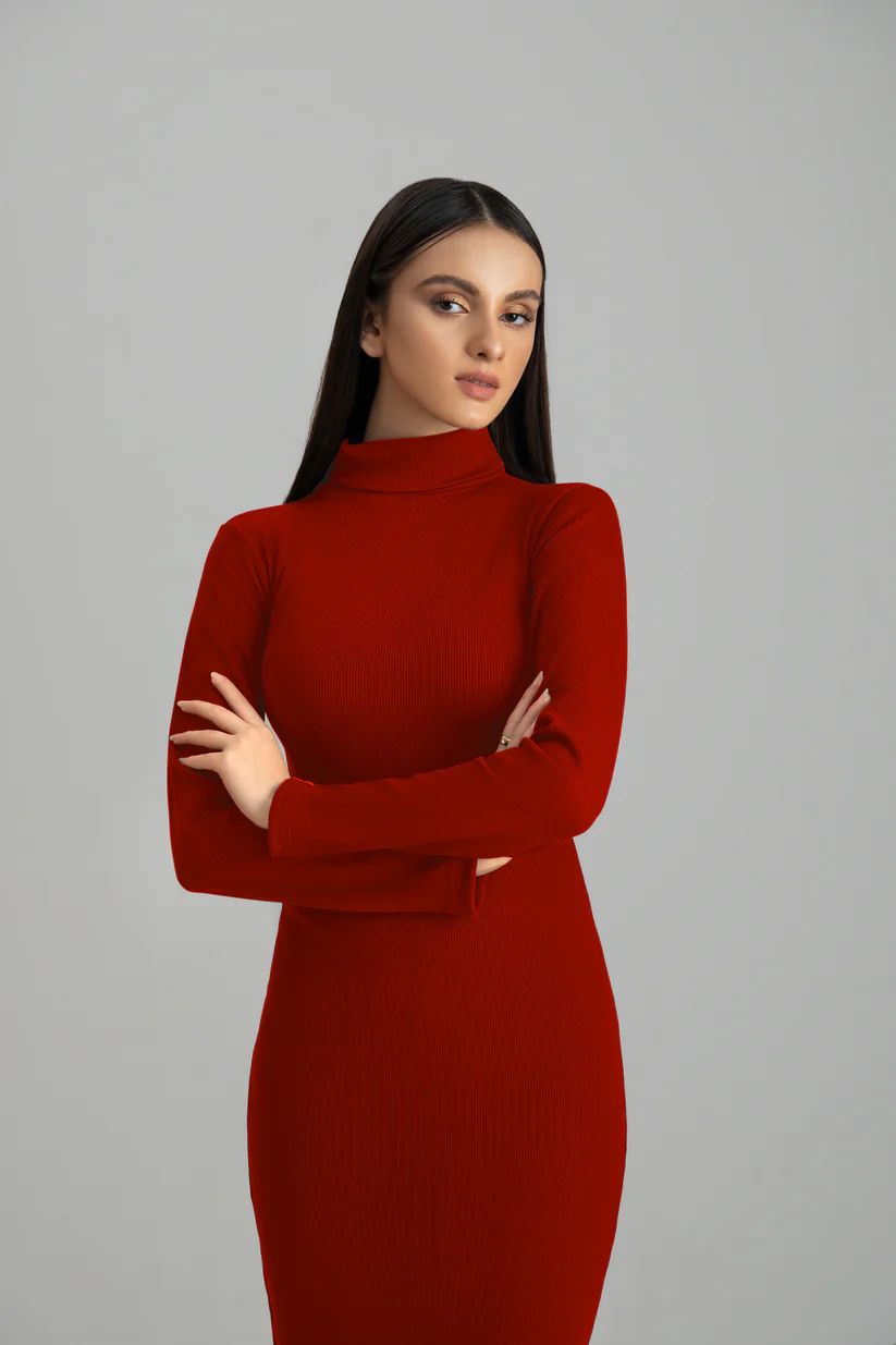 Wintsfield Highneck Bodycon Dress (Burgundy) - Oshi.pk - Buy & Sell Online