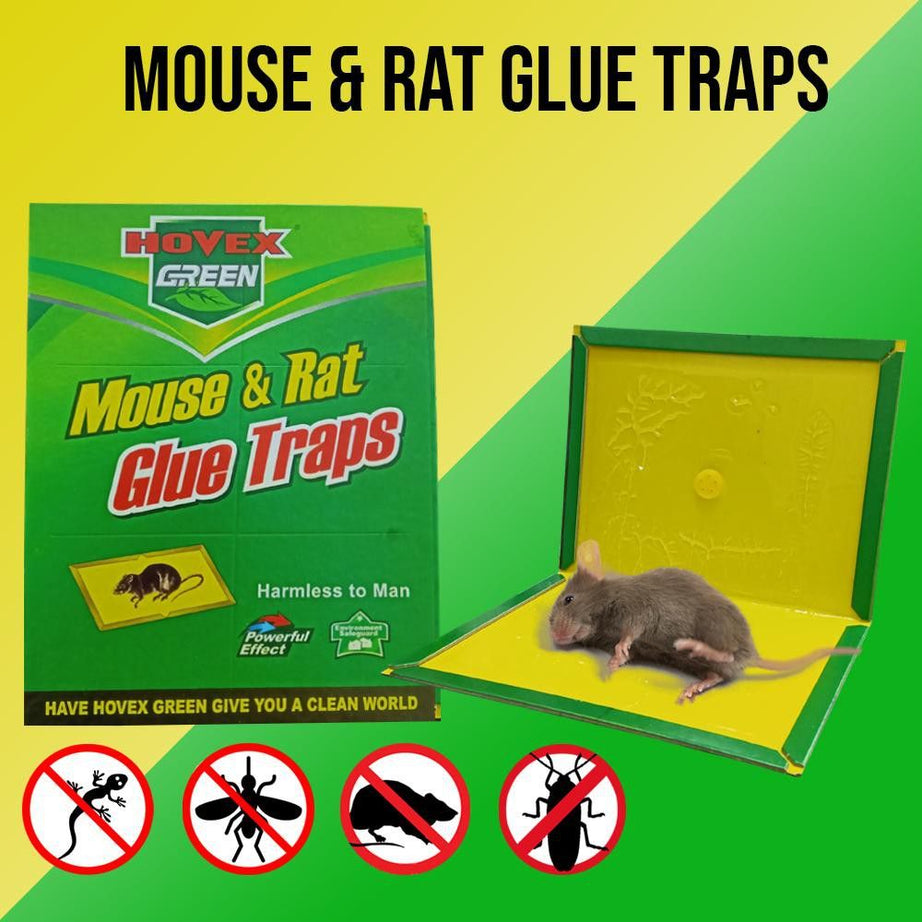 2 Pcs Reusable Expert Catch Mouse Glue Traps Mouse Size Glue Traps - Oshi.pk - Buy & Sell Online