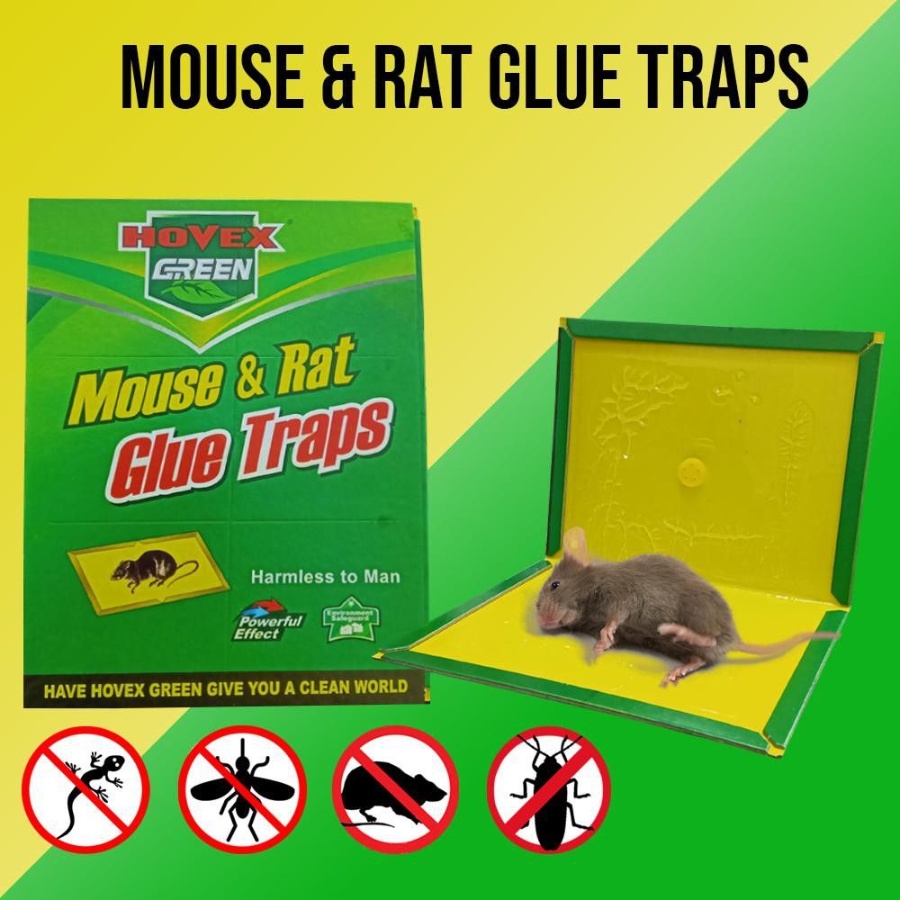 2 Pcs Reusable Expert Catch Mouse Glue Traps Mouse Size Glue Traps - Oshi.pk - Buy & Sell Online