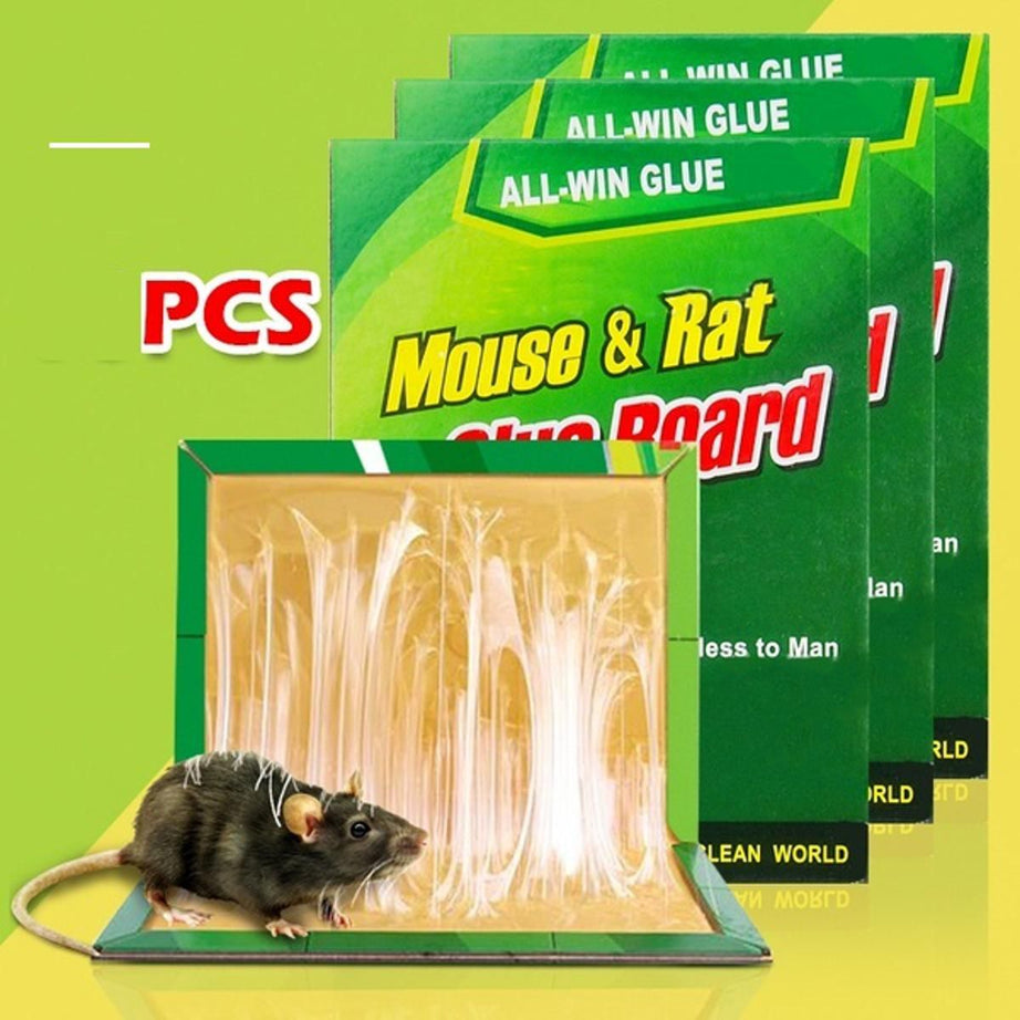 2 Pcs Reusable Expert Catch Mouse Glue Traps Mouse Size Glue Traps - Oshi.pk - Buy & Sell Online