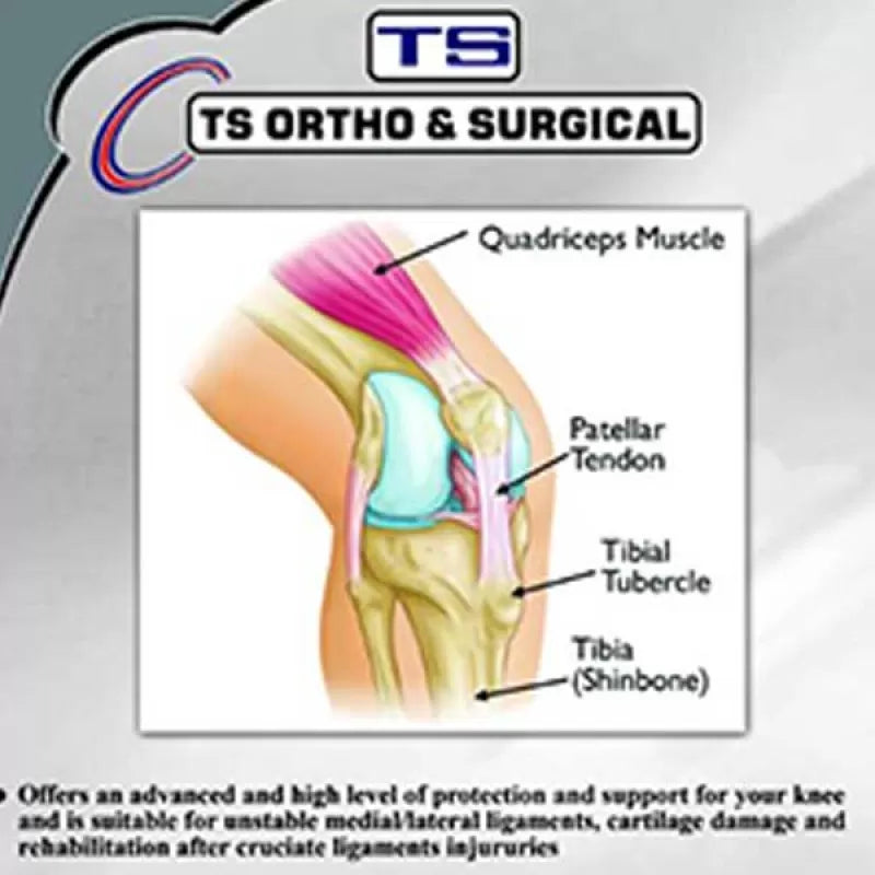 PATEELA TENDON KNEE SUPPORT - Oshi.pk - Buy & Sell Online