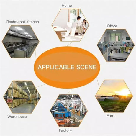 Black Rat Killing Magic Carpet Rodents Moles Trap Rat Mice Trap Mouse Glue Trap Rat Tarps Mat - Oshi.pk - Buy & Sell Online