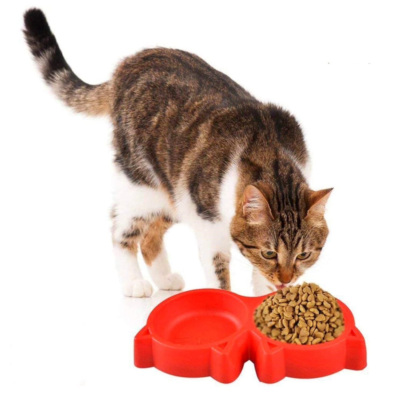 PACK 2 Cat Shaped Double food bowl Pet Plastic food bowl Foodie Puppies Pet Feeding Plastic Cat Face Shaped Double Bowl Food & Water Feed - Oshi.pk - Buy & Sell Online