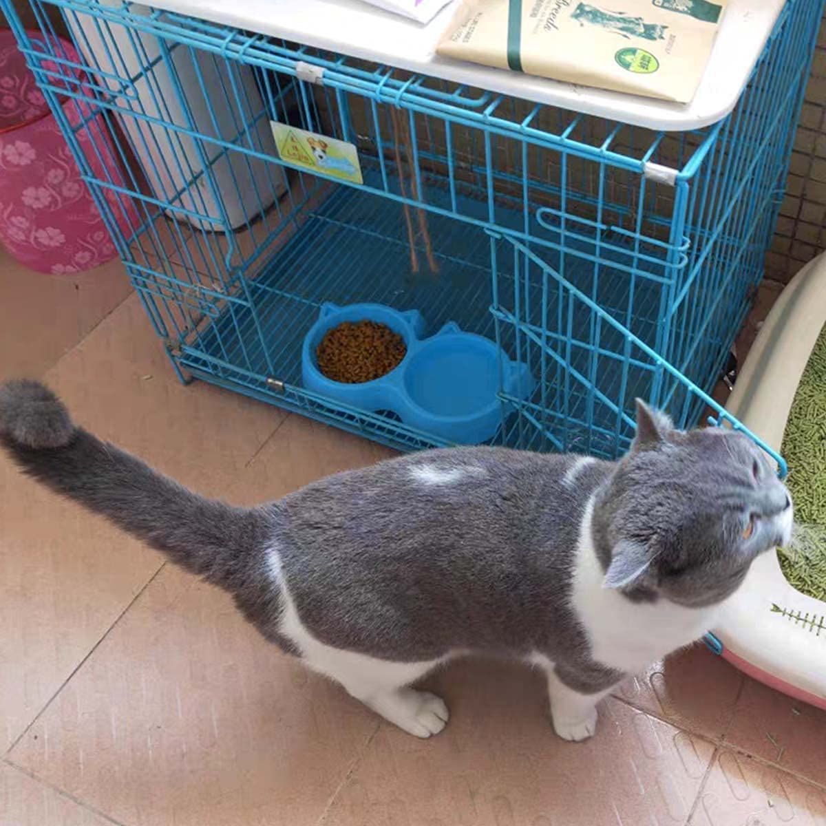 PACK 2 Cat Shaped Double food bowl Pet Plastic food bowl Foodie Puppies Pet Feeding Plastic Cat Face Shaped Double Bowl Food & Water Feed - Oshi.pk - Buy & Sell Online