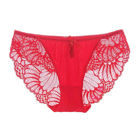 Comfortable Lace Briefs Hollow butterfly wing Transparent Low Waist Women Underwear - Oshi.pk - Buy & Sell Online