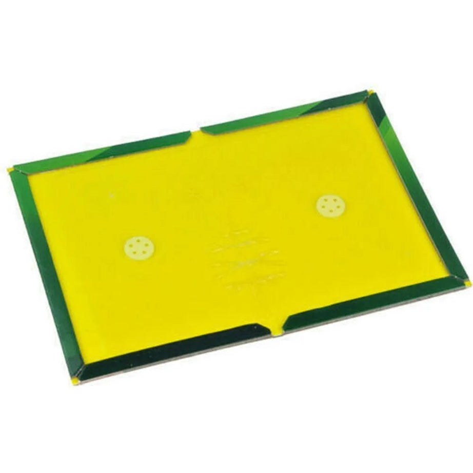 Efficient Sticky Mouse Board Strong Big Rat Paste Household Mousetrap Rat Poison Rat Glue Boards Clip - Oshi.pk - Buy & Sell Online