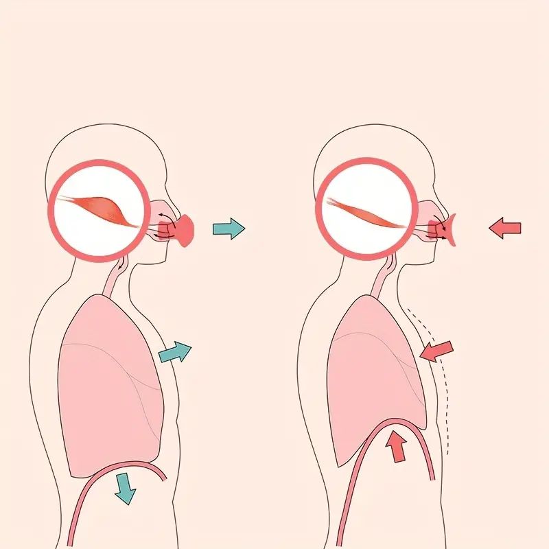 Face Exerciser, Jaw Face Neck Toning Exerciser For Women, Portable V Face Trainer Skin Lifting Masseter Training Tool Gift - Oshi.pk - Buy & Sell Online