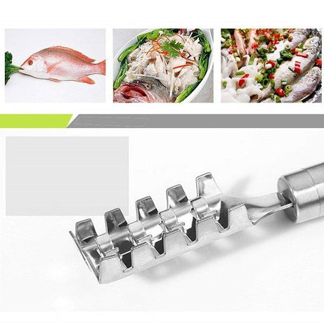 Fish Scale Remover Stainless Steel Scaler Scraper - Oshi.pk - Buy & Sell Online