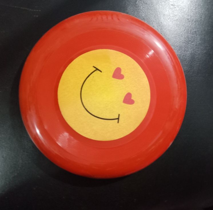 LED Flying Discs - Smiley with Light - Oshi.pk - Buy & Sell Online