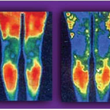 Leg-O-Sage Plus Massager - Oshi.pk - Buy & Sell Online