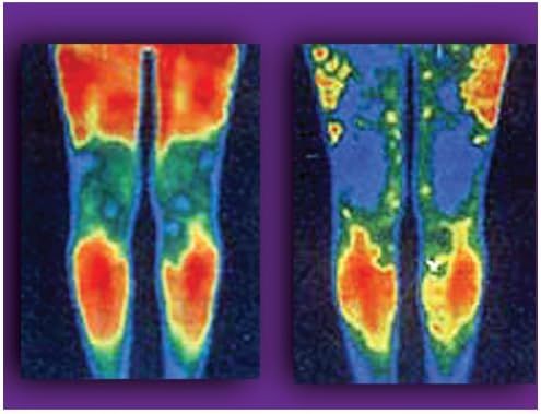 Leg-O-Sage Plus Massager - Oshi.pk - Buy & Sell Online