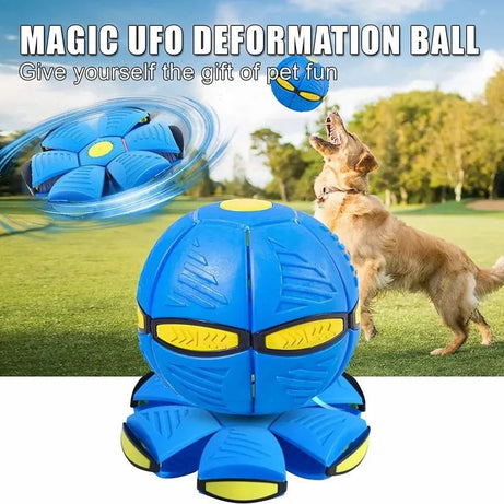 Magic Flying Saucer Ball Frisbee Deformation UFO Football Flat Throw Disc with 3 LED Light Flying Toys Outdoor Garden Beach Game Toy - Oshi.pk - Buy & Sell Online