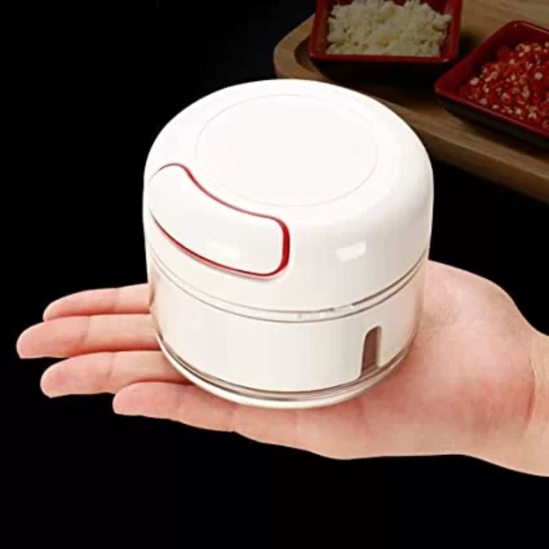 Mini Food Chopper - Oshi.pk - Buy & Sell Online
