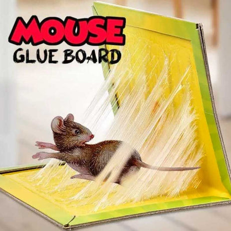 Mouse And Rat Glue Trap Board - Oshi.pk - Buy & Sell Online