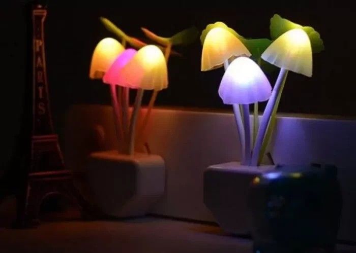Mushroom Night Bulb - Oshi.pk - Buy & Sell Online