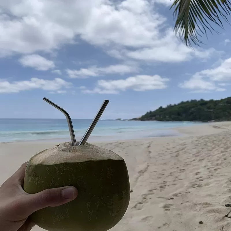 Pack Of 5 - 4 Straight Stainless Steel Reusable Drinking Straws with FREE Cleaning Brush Metal SS Straws Durable Kitchen Utensils For Milkshake Drinks - Oshi.pk - Buy & Sell Online