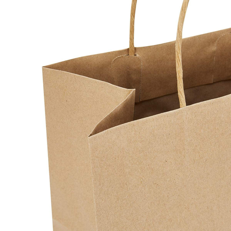 Pack of 100 Paper Bags 12 X 14 X 3 Gift Bags, Party Bags, Shopping Bags, Kraft Bags, Retail Bags, Merchandise Bags, Brown Paper Bags Handle 110gsm - Oshi.pk - Buy & Sell Online
