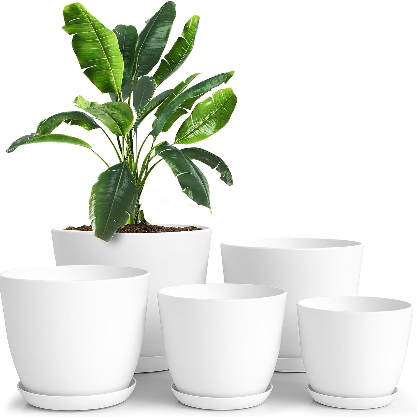 Plant Pots Indoor with Drainage - 7/6.6/6/5.3/4.8 Inches Home Decor Flower Pots for Indoor Planter - Pack of 5 Plastic Planters for Indoor Plants - Oshi.pk - Buy & Sell Online