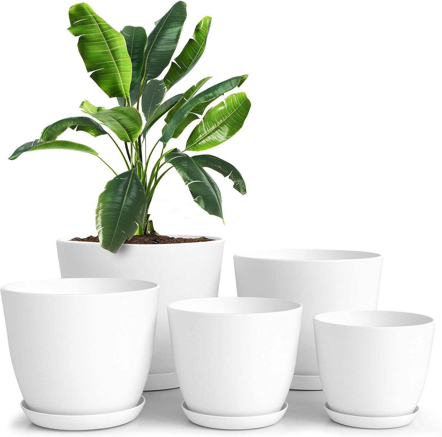 Plant Pots Indoor with Drainage - 7/6.6/6/5.3/4.8 Inches Home Decor Flower Pots for Indoor Planter - Pack of 5 Plastic Planters for Indoor Plants - Oshi.pk - Buy & Sell Online