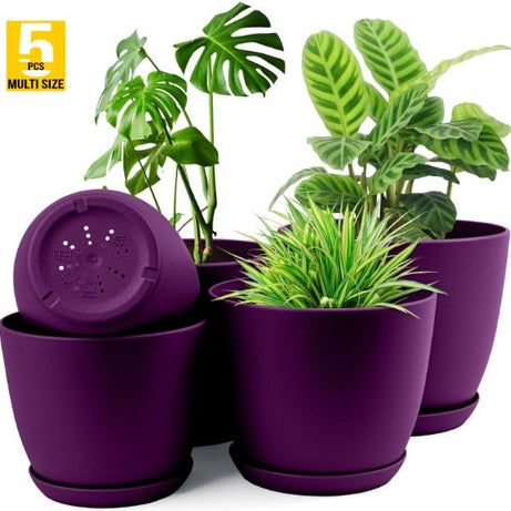 Plant Pots Indoor With Drainage - Pack Of 5 Decorative Flower Pots For Indoor Plants Without Plants - Oshi.pk - Buy & Sell Online