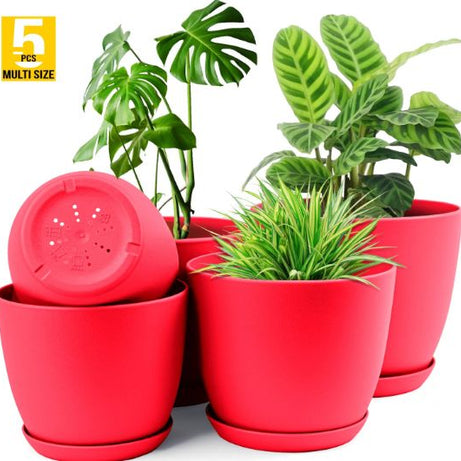 Plant Pots Indoor With Drainage - Pack Of 5 Decorative Flower Pots For Indoor Plants Without Plants - Oshi.pk - Buy & Sell Online