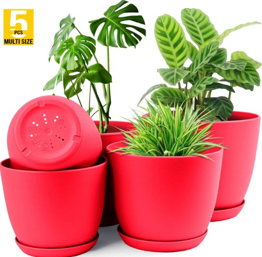Plant Pots Indoor With Drainage - Pack Of 5 Decorative Flower Pots For Indoor Plants Without Plants - Oshi.pk - Buy & Sell Online
