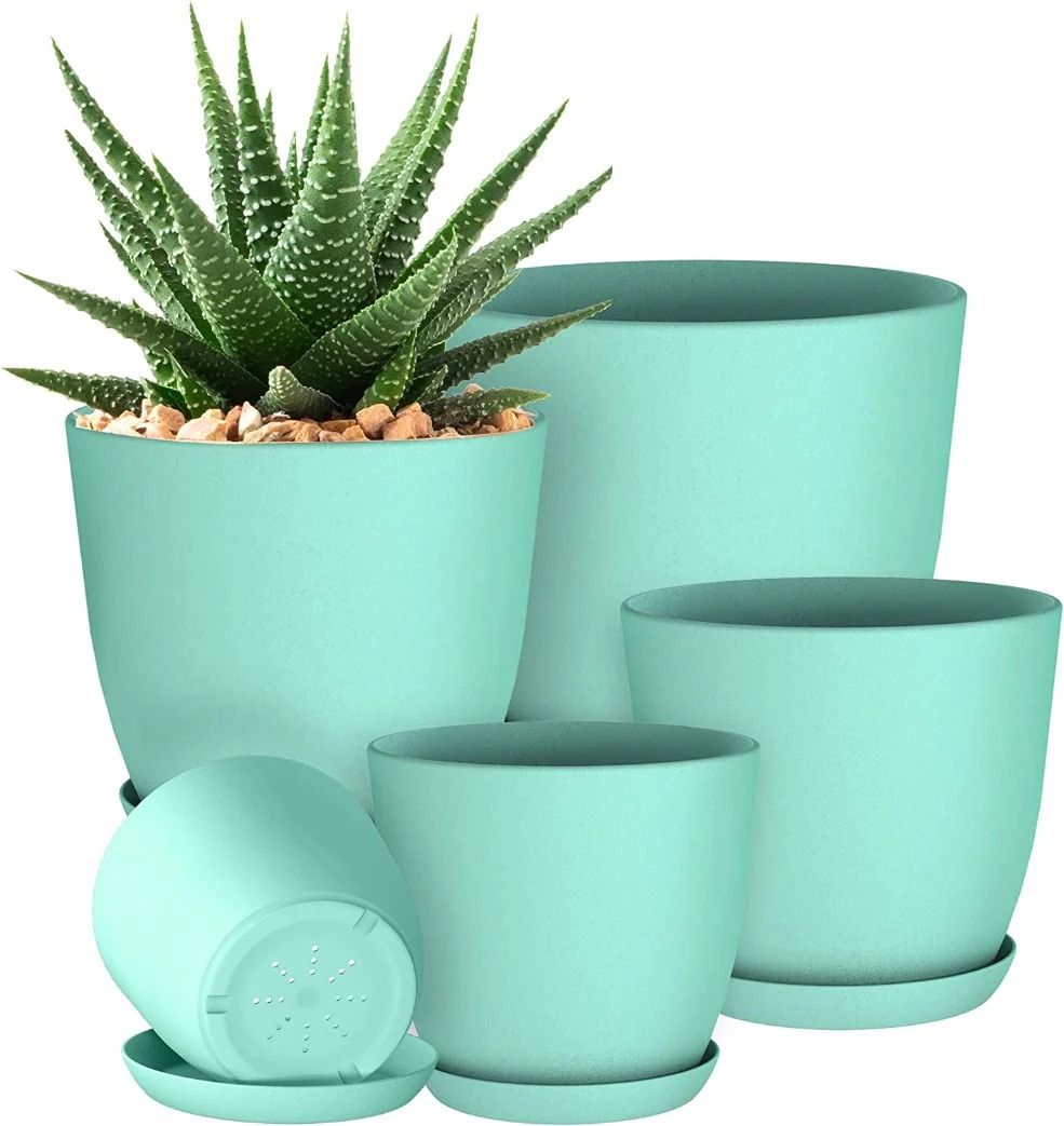 Plant Pots Indoor With Drainage - Pack Of 5 Decorative Flower Pots For Indoor Plants Without Plants - Oshi.pk - Buy & Sell Online