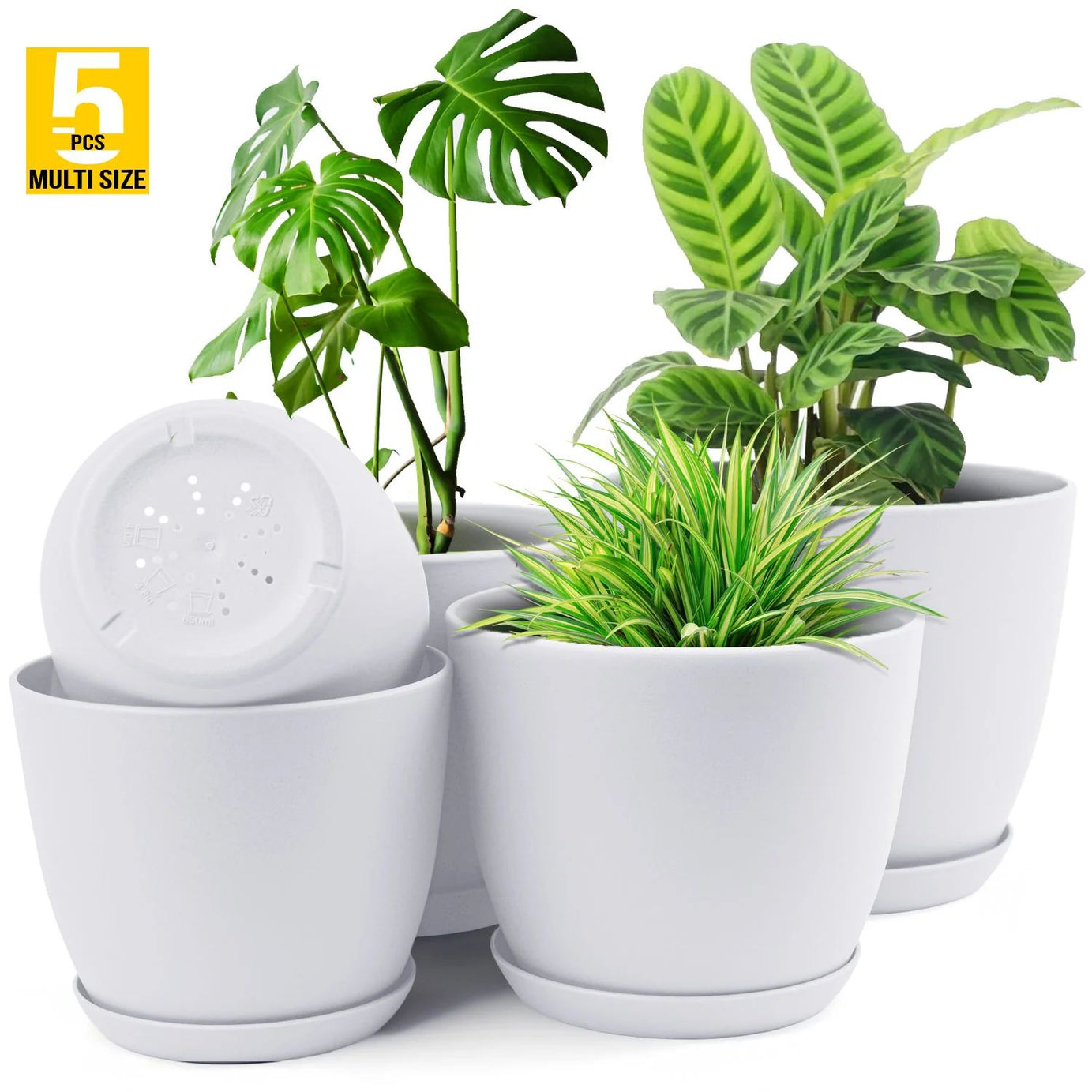 Plant Pots Indoor With Drainage - Pack Of 5 Decorative Flower Pots For Indoor Plants Without Plants - Oshi.pk - Buy & Sell Online