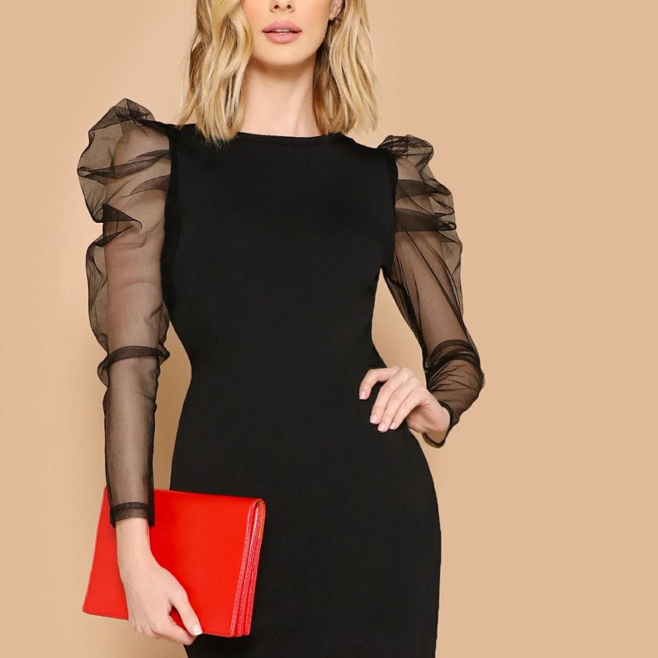 Mesh Georgette Sleeve Bodycon Dress