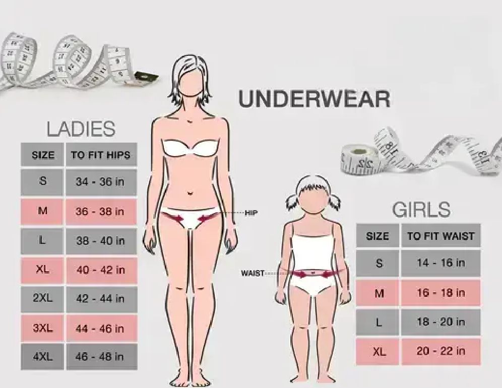 Comfortable Lace Briefs Hollow butterfly wing Transparent Low Waist Women Underwear - Oshi.pk - Buy & Sell Online