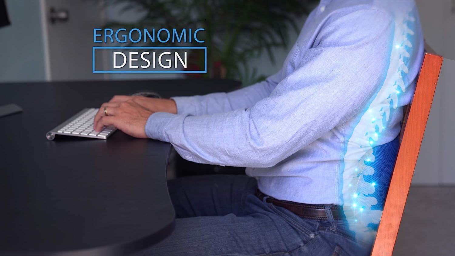 Spark Innovators Comfy Curve - Lumbar Back Support Pillow - Ergonomically Designed - Oshi.pk - Buy & Sell Online