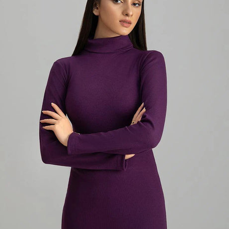 Wintsfield Highneck Bodycon Dress (Purple) - Oshi.pk - Buy & Sell Online