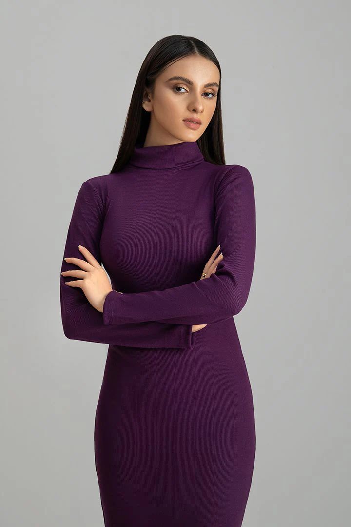 Wintsfield Highneck Bodycon Dress (Purple) - Oshi.pk - Buy & Sell Online