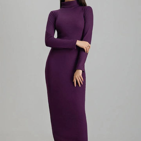 Wintsfield Highneck Bodycon Dress (Purple)