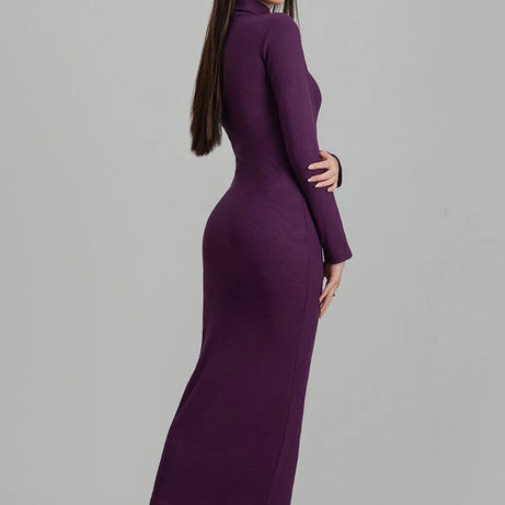 Wintsfield Highneck Bodycon Dress (Purple) - Oshi.pk - Buy & Sell Online
