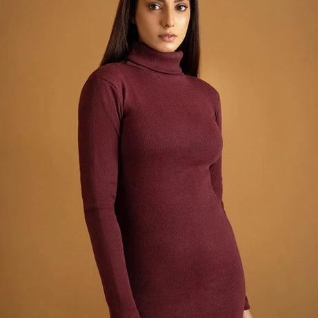Wintsfield Highneck Bodycon Dress (Maroon) - Oshi.pk - Buy & Sell Online