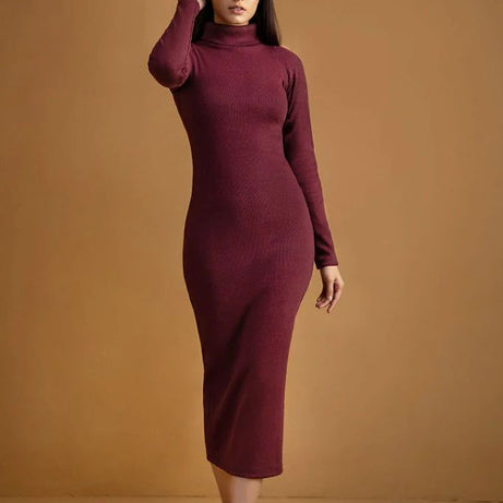 Wintsfield Highneck Bodycon Dress (Maroon) - Oshi.pk - Buy & Sell Online