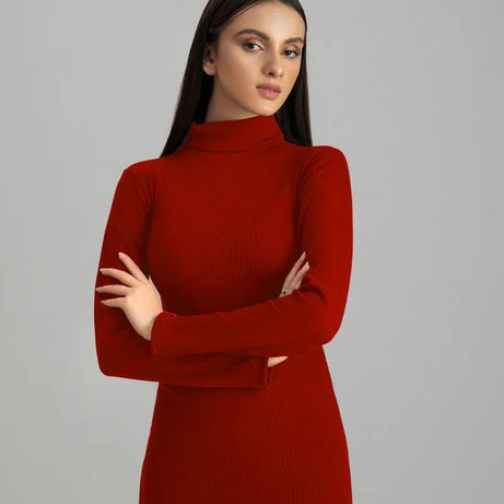 Wintsfield Highneck Bodycon Dress (Burgundy)