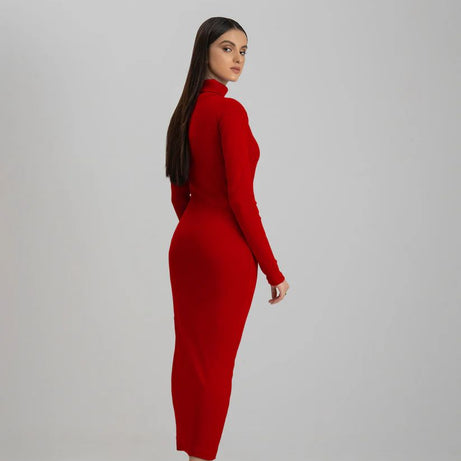 Wintsfield Highneck Bodycon Dress (Burgundy) - Oshi.pk - Buy & Sell Online