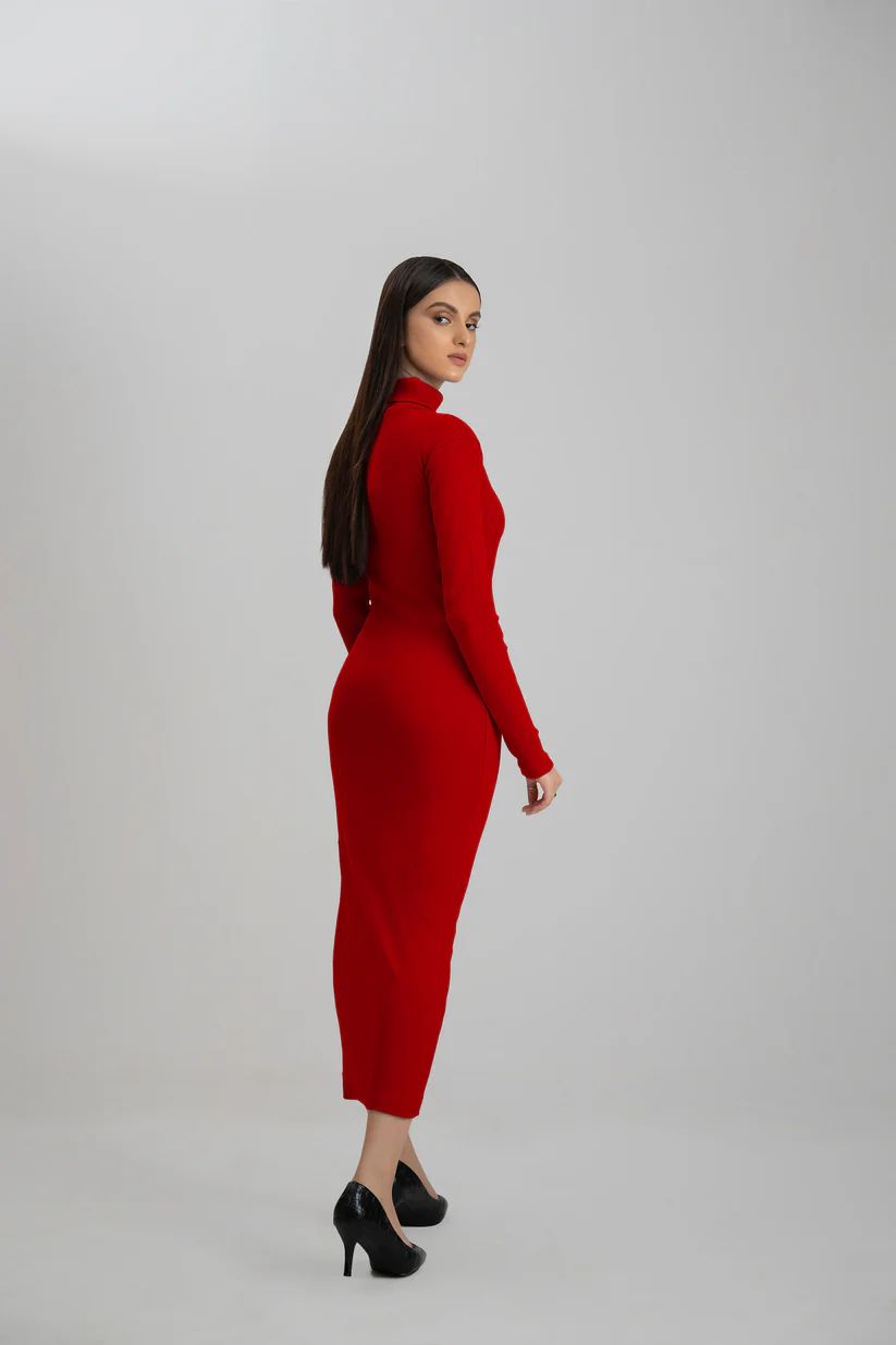Wintsfield Highneck Bodycon Dress (Burgundy) - Oshi.pk - Buy & Sell Online