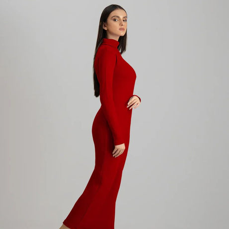 Wintsfield Highneck Bodycon Dress (Burgundy) - Oshi.pk - Buy & Sell Online