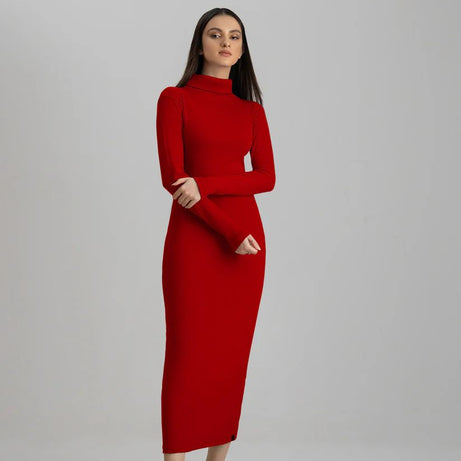 Wintsfield Highneck Bodycon Dress (Burgundy) - Oshi.pk - Buy & Sell Online